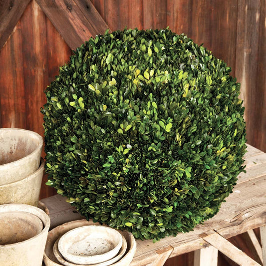 Preserved Boxwood Ball, 21"