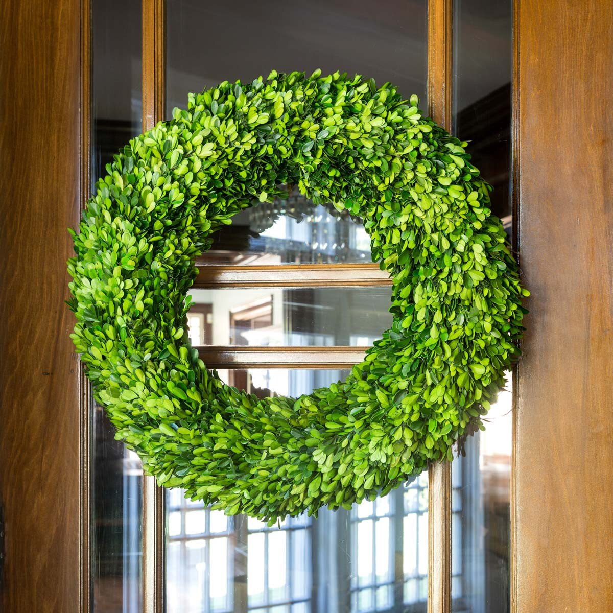 Preserved Boxwood Wreath, Large