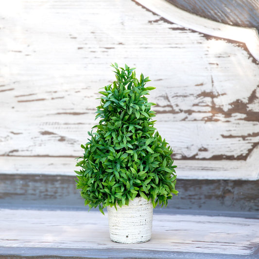 Mountain Savory Cone Topiary, Small