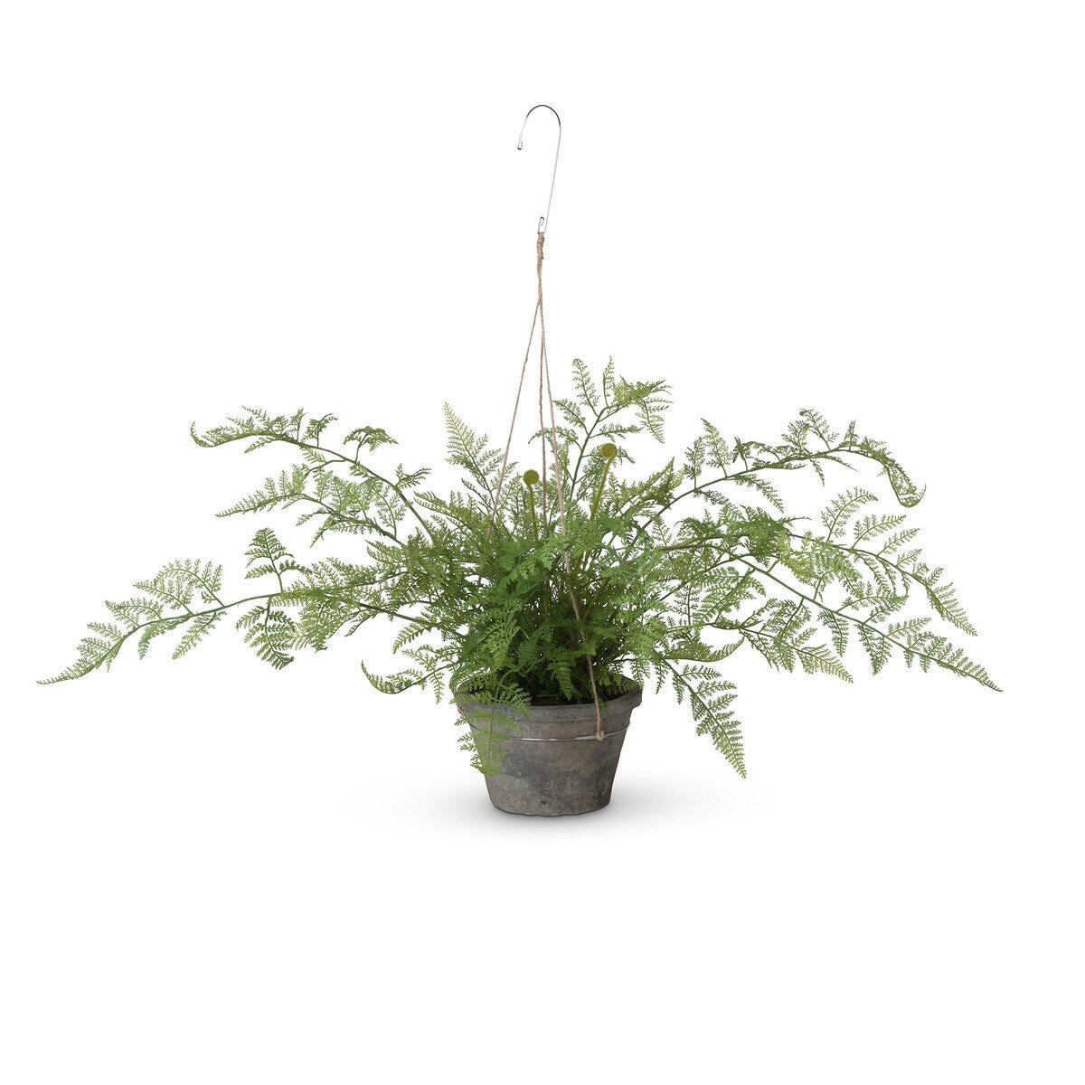 Potted Hanging Fern, Large style shot 1