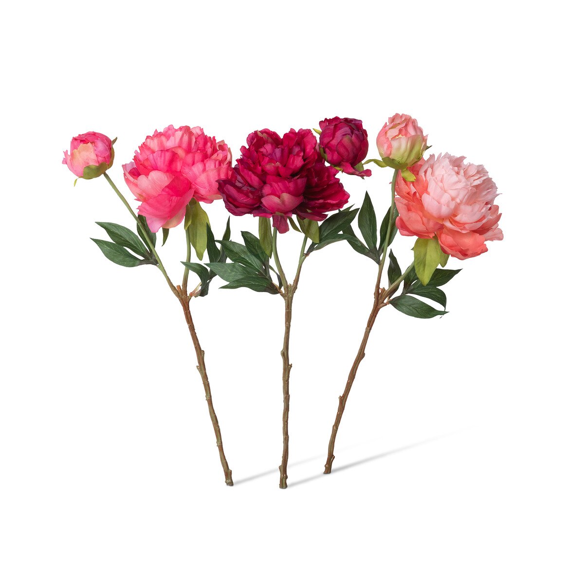 Summer Peony, Pink Cerise Mix, 3 Assorted Colors style shot 1