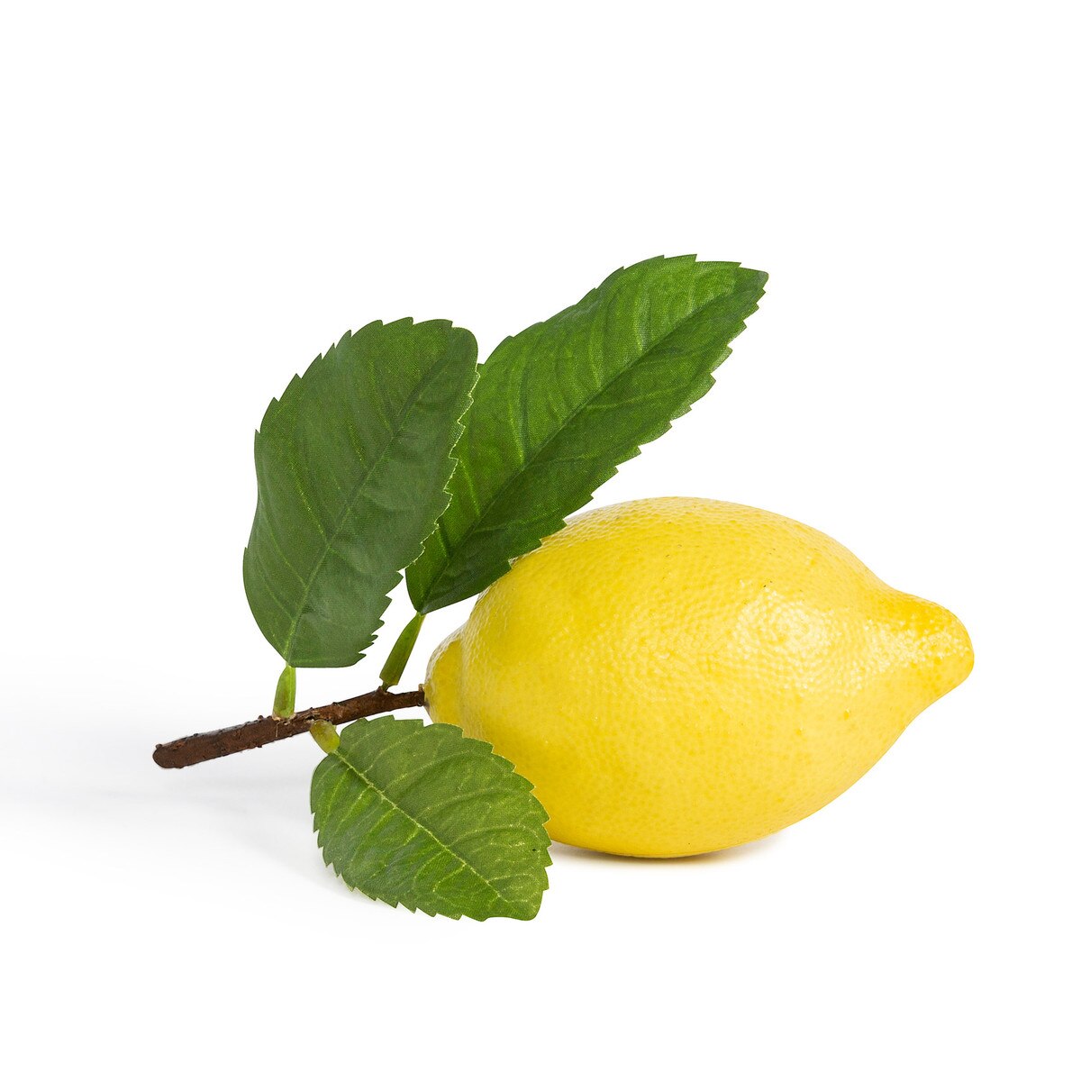 Lemon with Leaf style shot 1