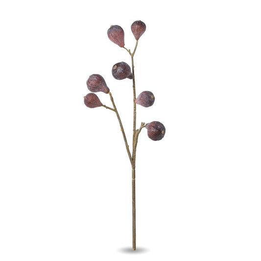 Carolina Fig Branch style shot 1