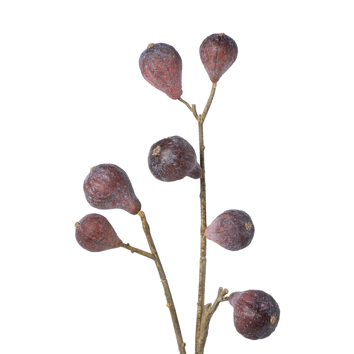 Carolina Fig Branch style shot 2