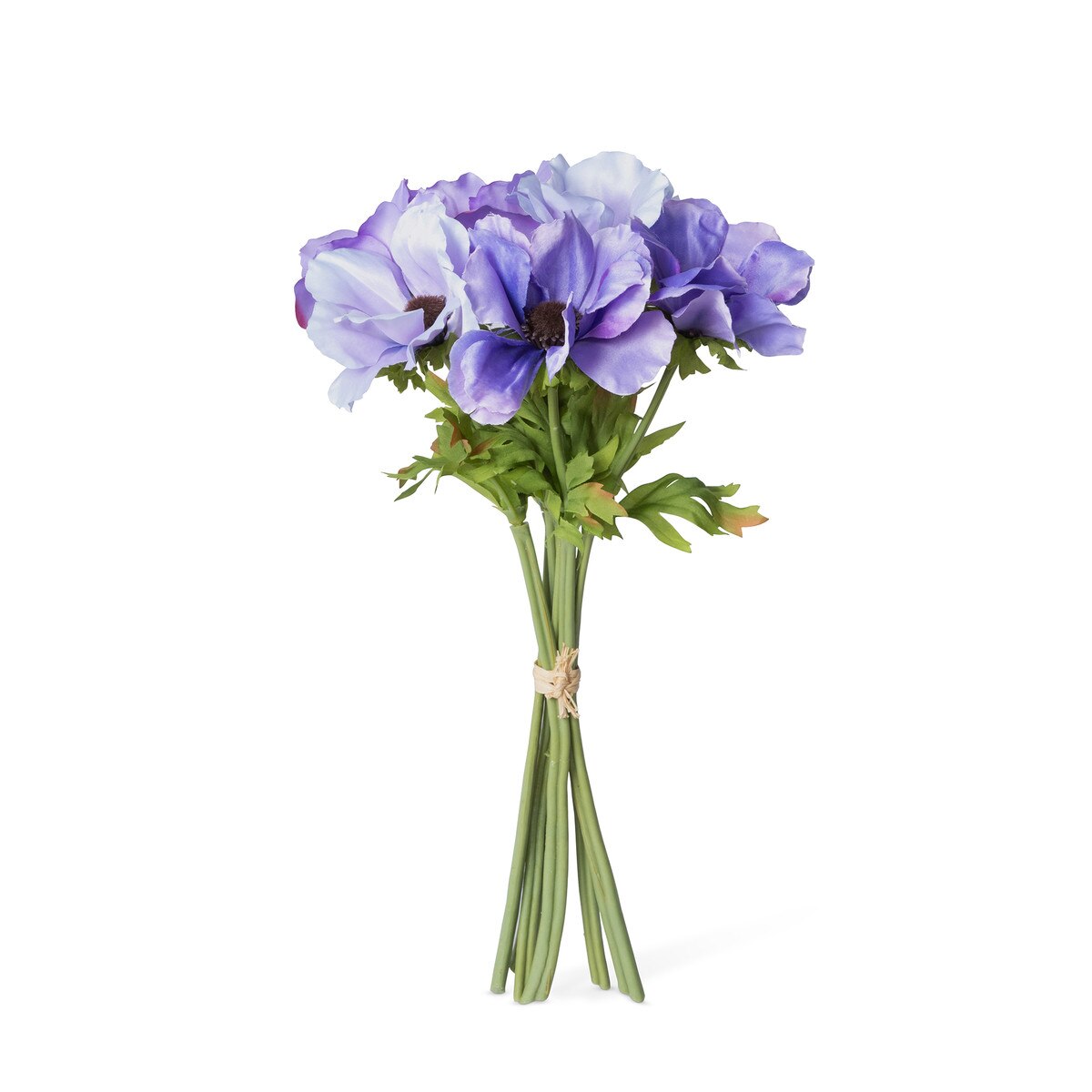 Garden Cutting Anemone Bundle, Purple style shot 1