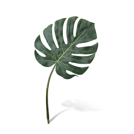 Monstera Leaf, Small style shot 1