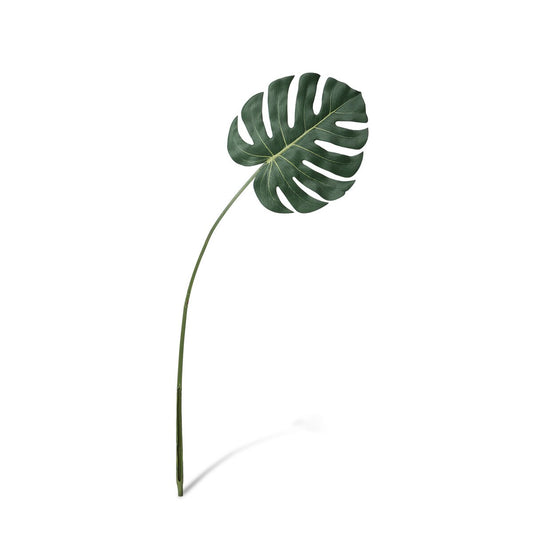 Monstera Leaf, Medium style shot 1
