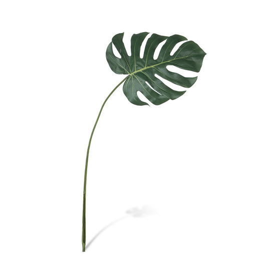 Monstera Leaf, Large style shot 1