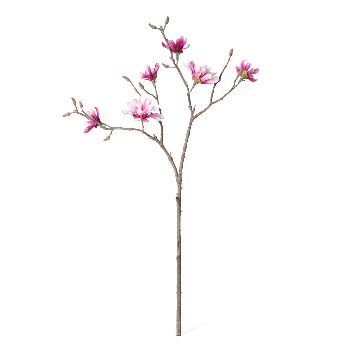 Japanese Magnolia Branch style shot 1