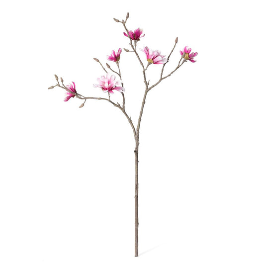 Japanese Magnolia Branch style shot 1