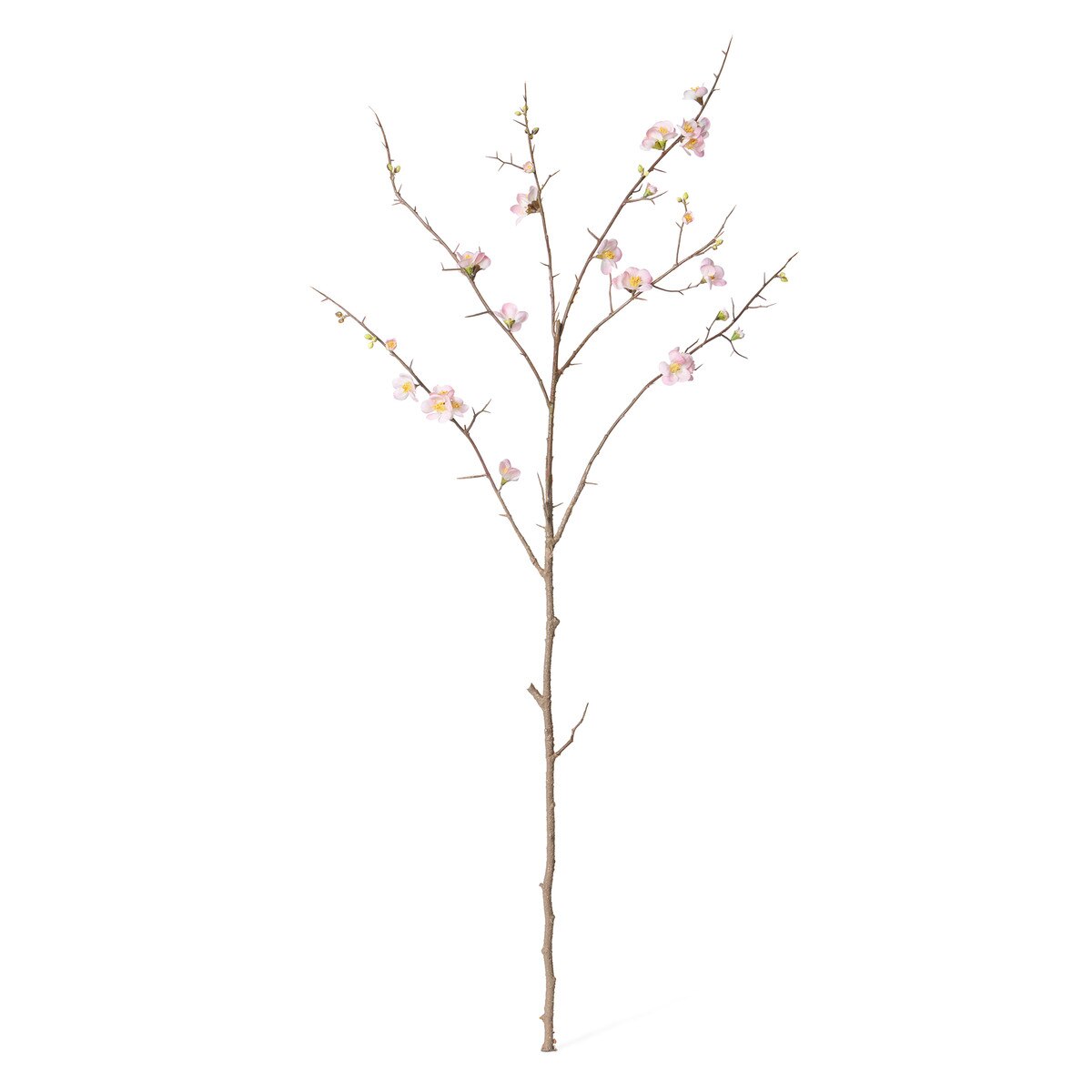 Quince Blossom Branch, Pink style shot 1