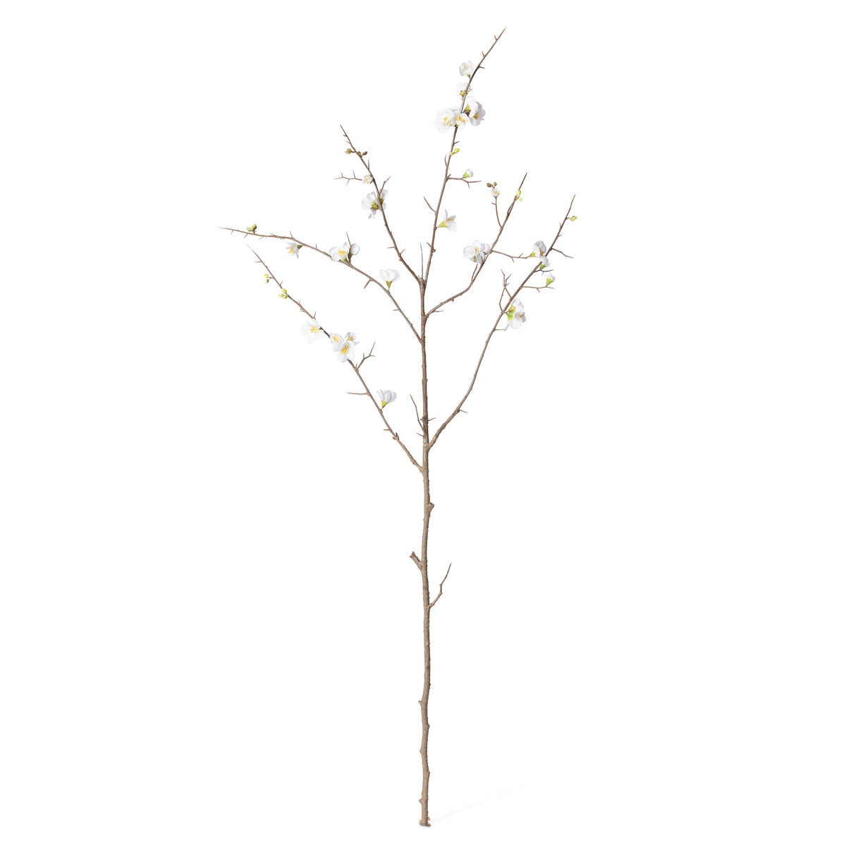 Quince Blossom Branch, White style shot 1