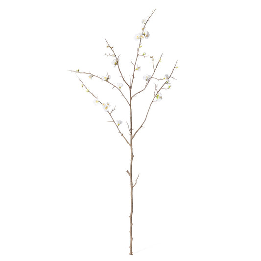 Quince Blossom Branch, White style shot 1