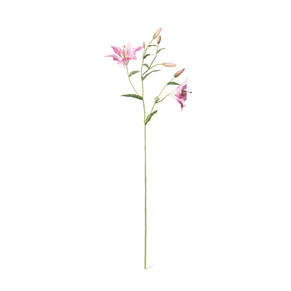 Oriental Lily Stem, Pink style shot 1