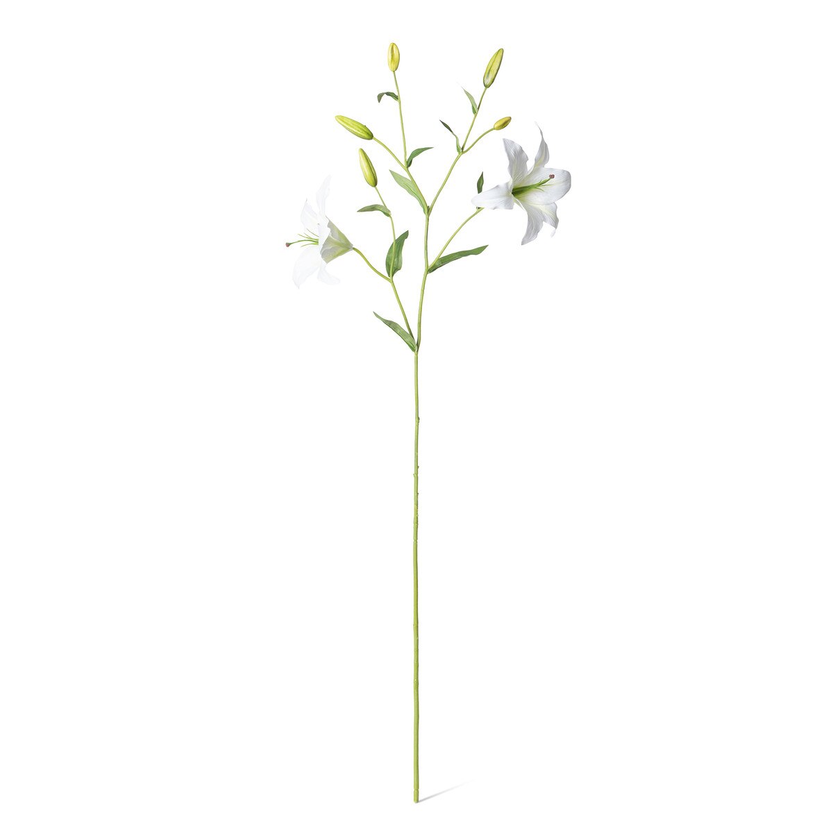 Oriental Lily Stem, White style shot 1