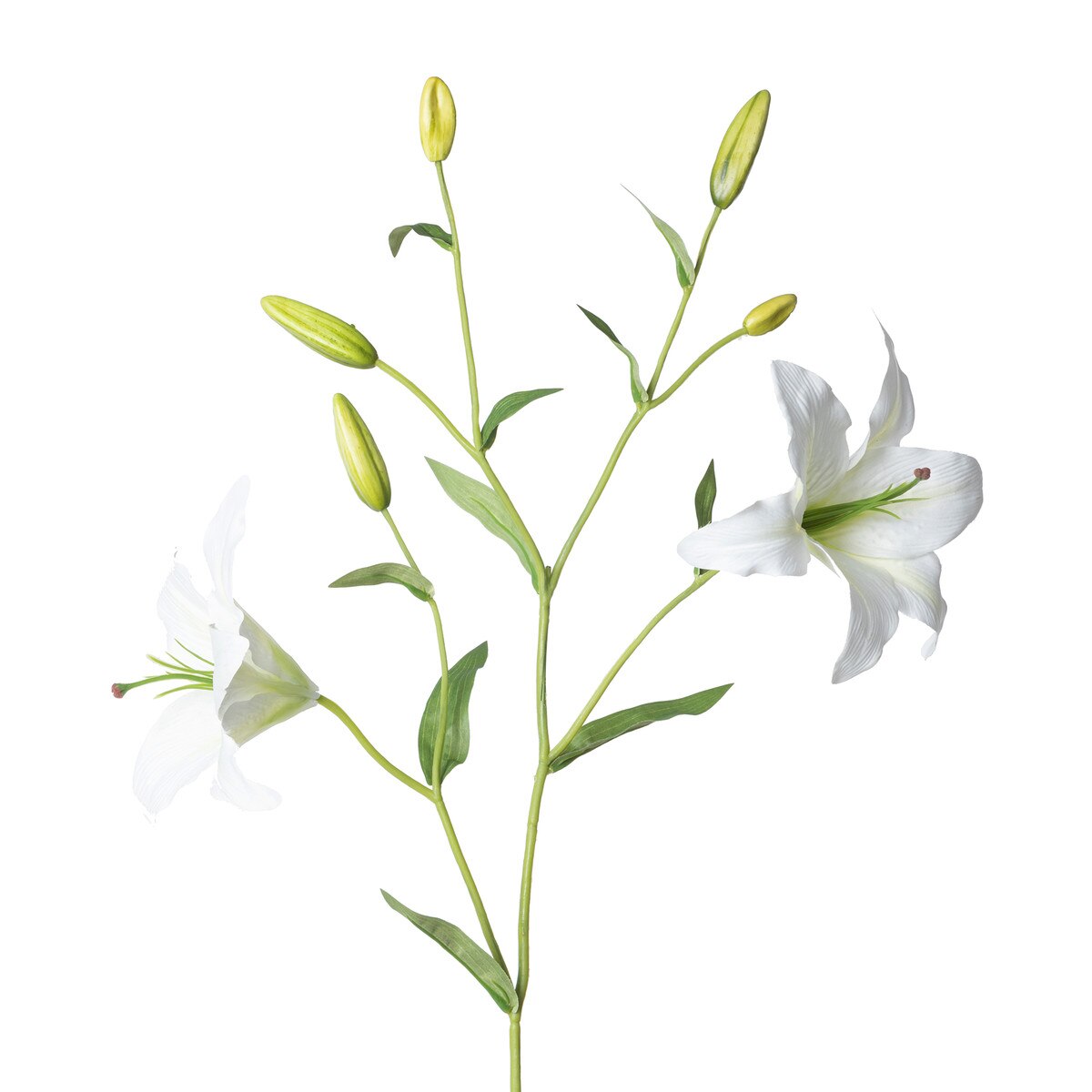 Oriental Lily Stem, White style shot 2