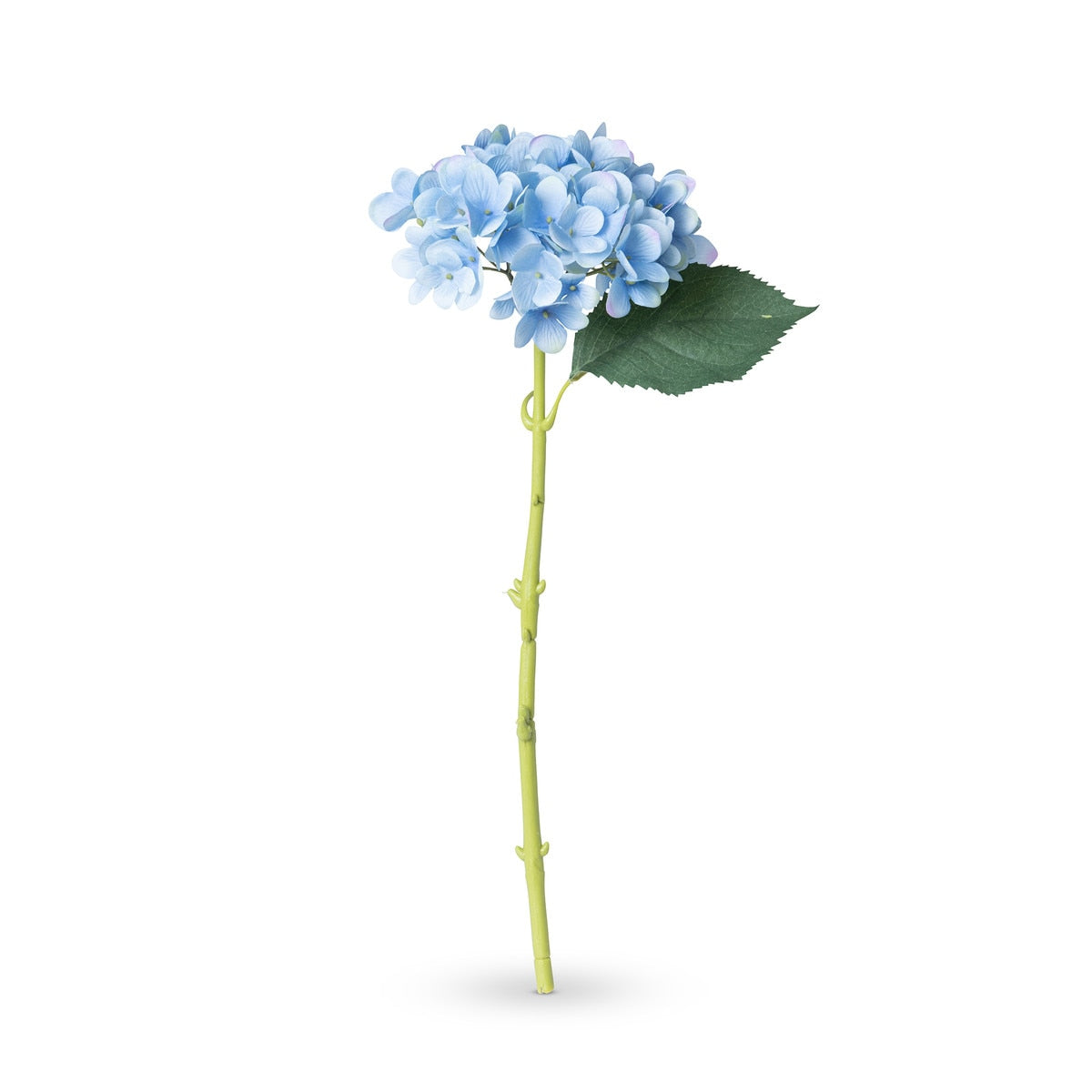 Garden Hydrangea Stem, Blue style shot 1