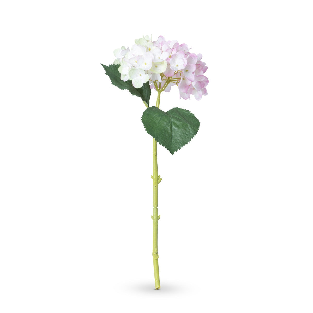 Garden Hydrangea Stem, Pink style shot 1