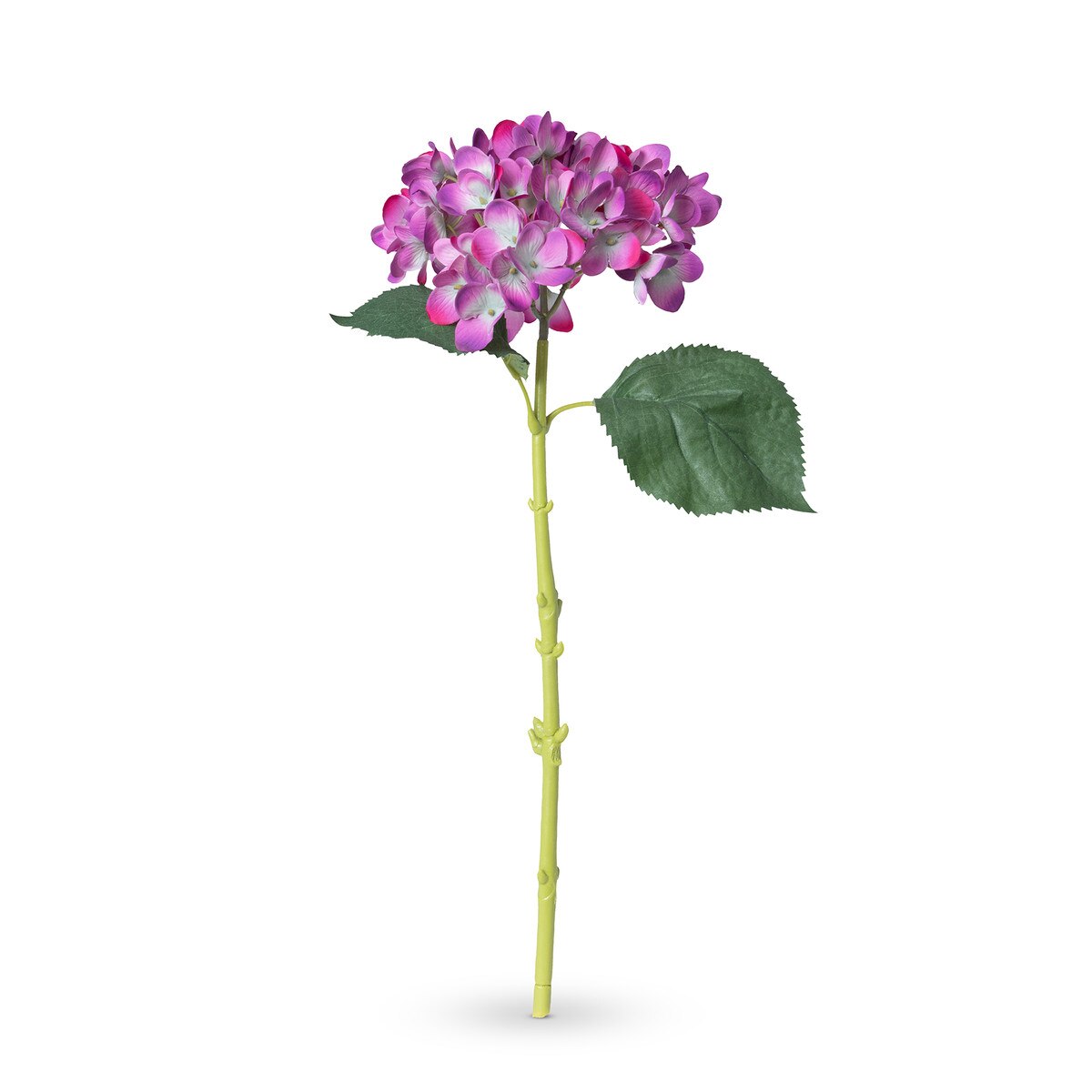 Garden Hydrangea Stem, Fuchsia style shot 1