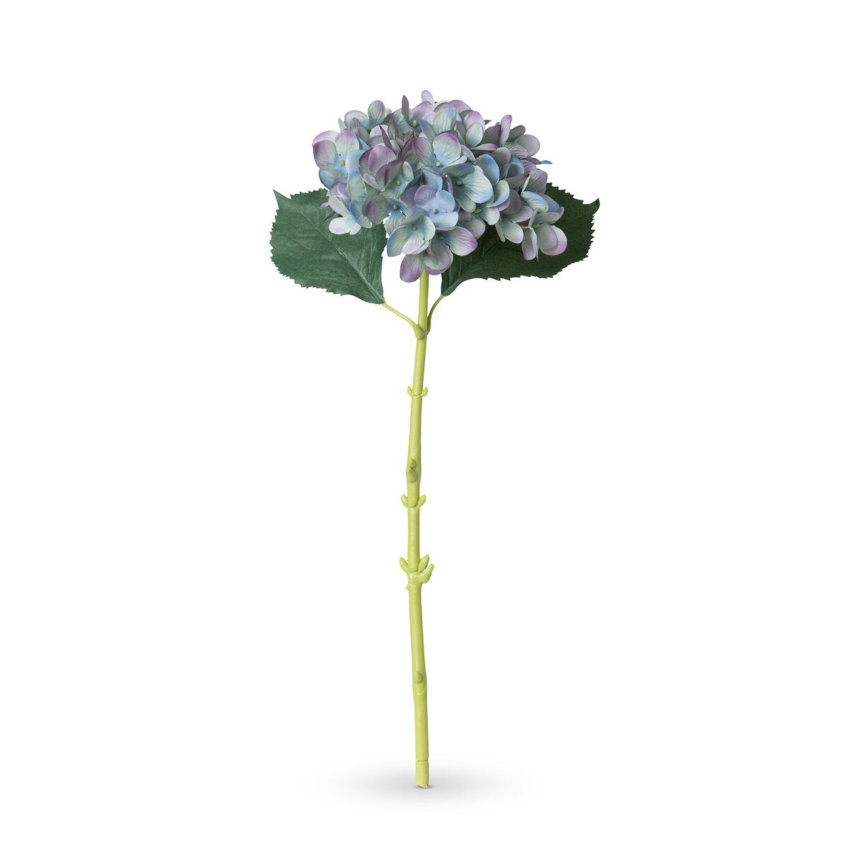 Garden Hydrangea Stem, Blue Plum style shot 1