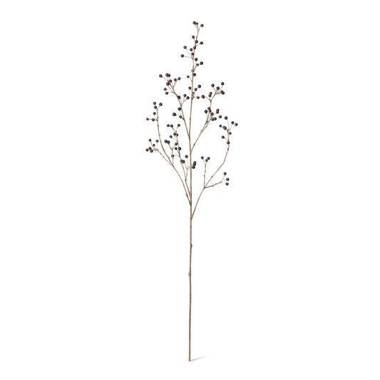 Late Season Blueberry Branch style shot 1