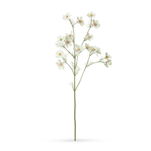 Cosmos Stem, Light Yellow style shot 1