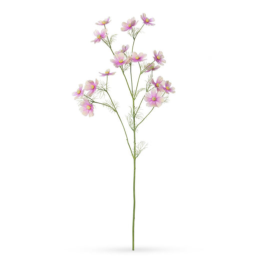 Cosmos Stem, Light Mauve style shot 1