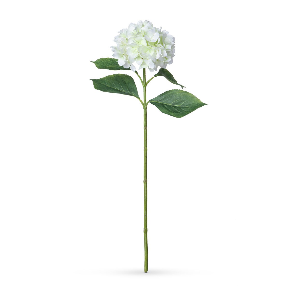 Garden Hydrangea, Cream/Green style shot 1