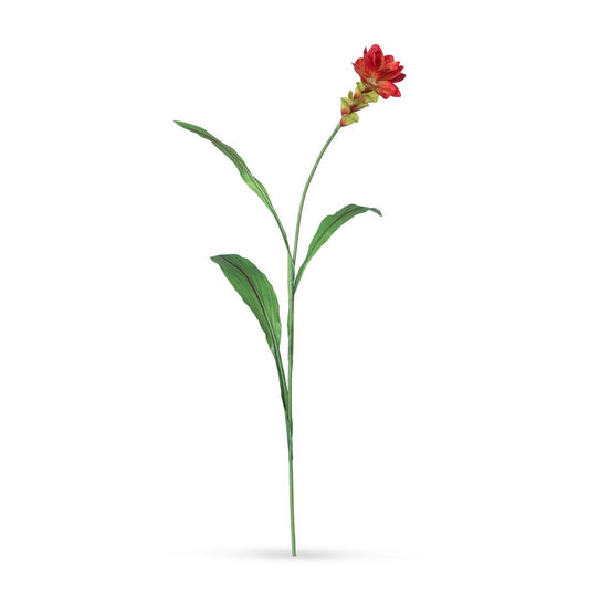 Curcuma Stem style shot 1