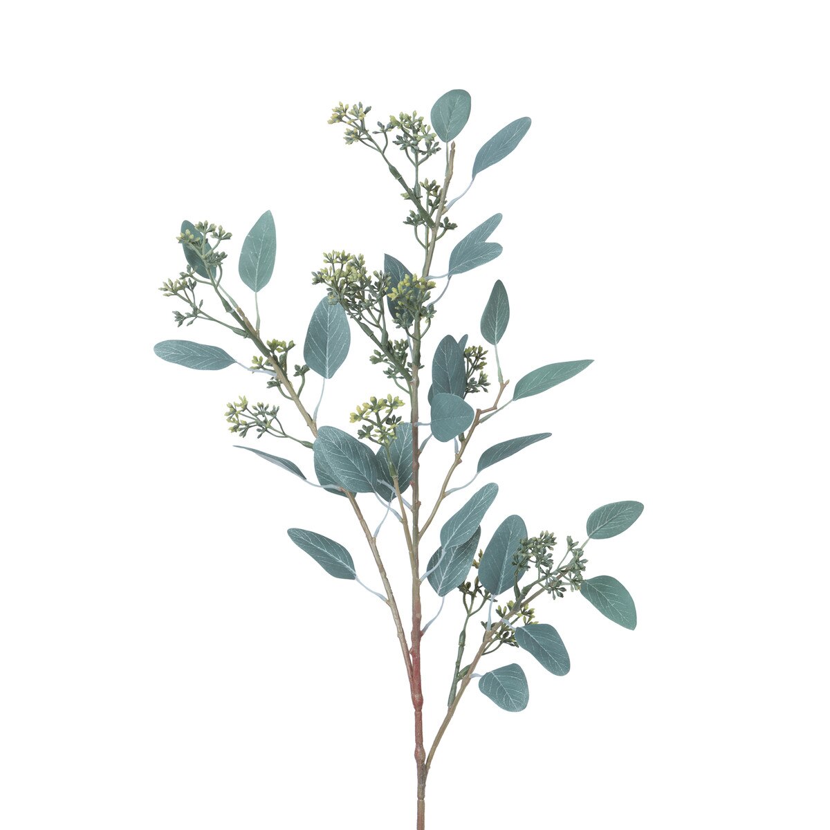 Seeded Eucalyptus Stem style shot 2