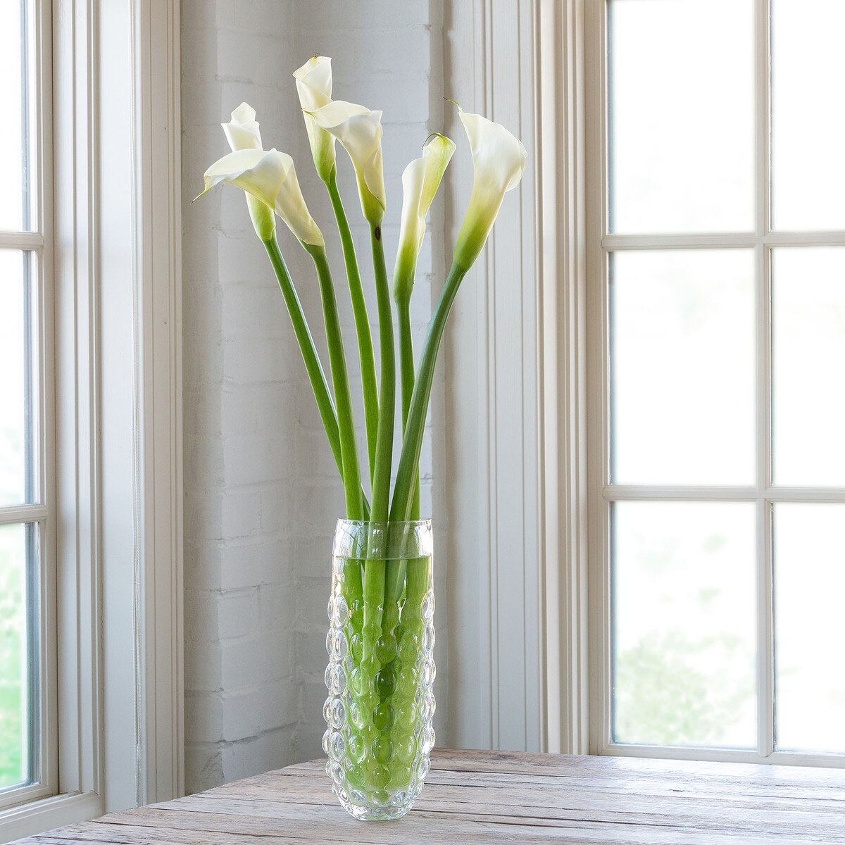Alouetta Blown Glass Vase, Tall style shot 1