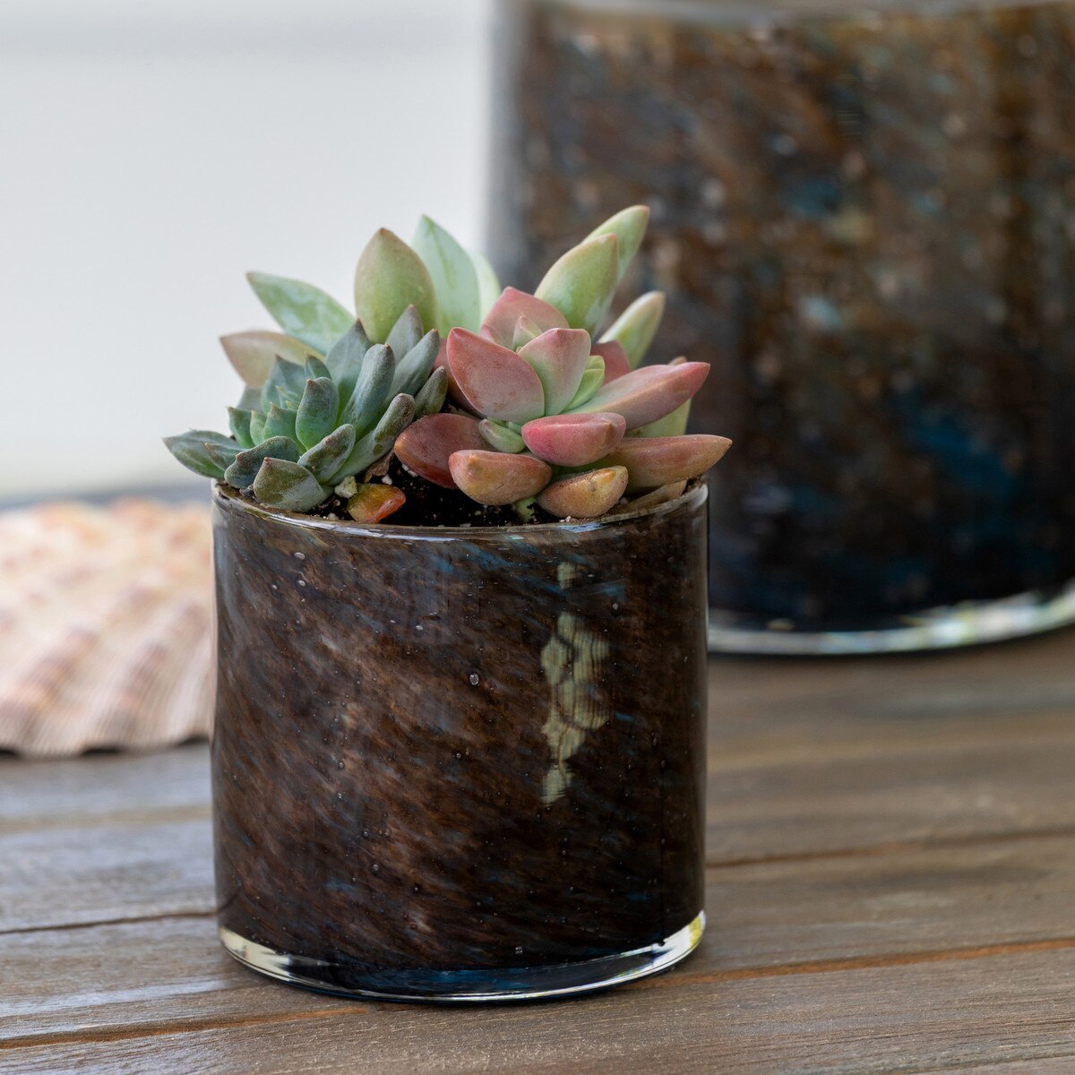 Serena Glass Cylinder, Small