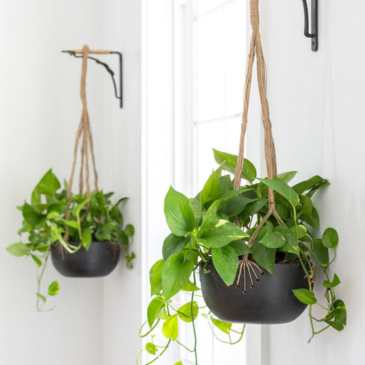 Terra Cotta Woven Hanging Bowl