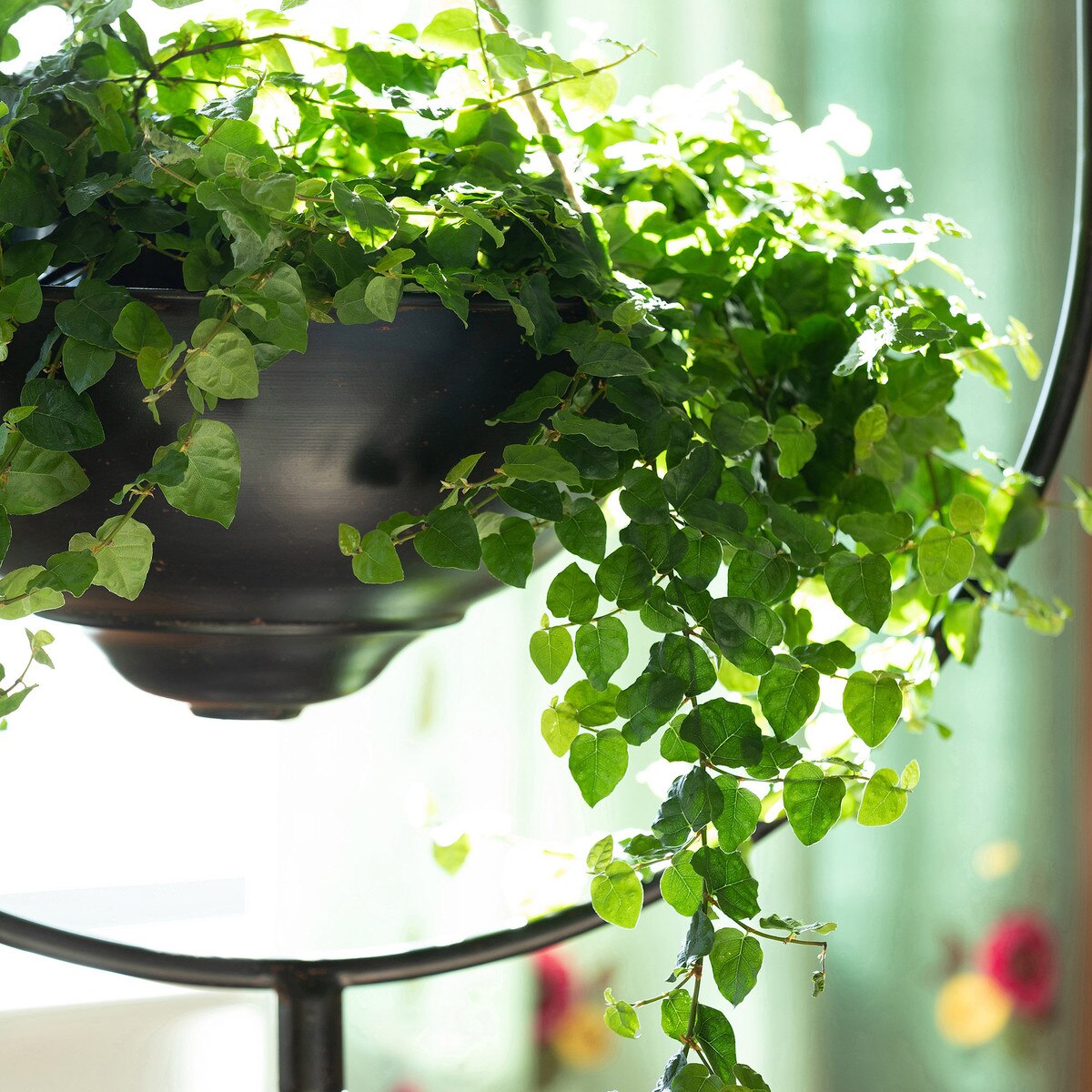 Spherical Iron Plant Stand style shot 2