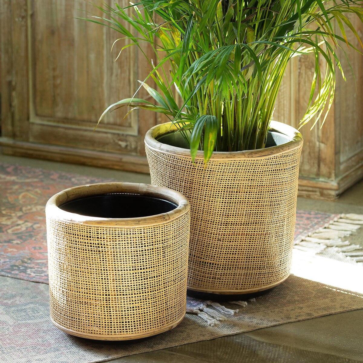 Woven Rattan Plant Basket, 12" style shot 1