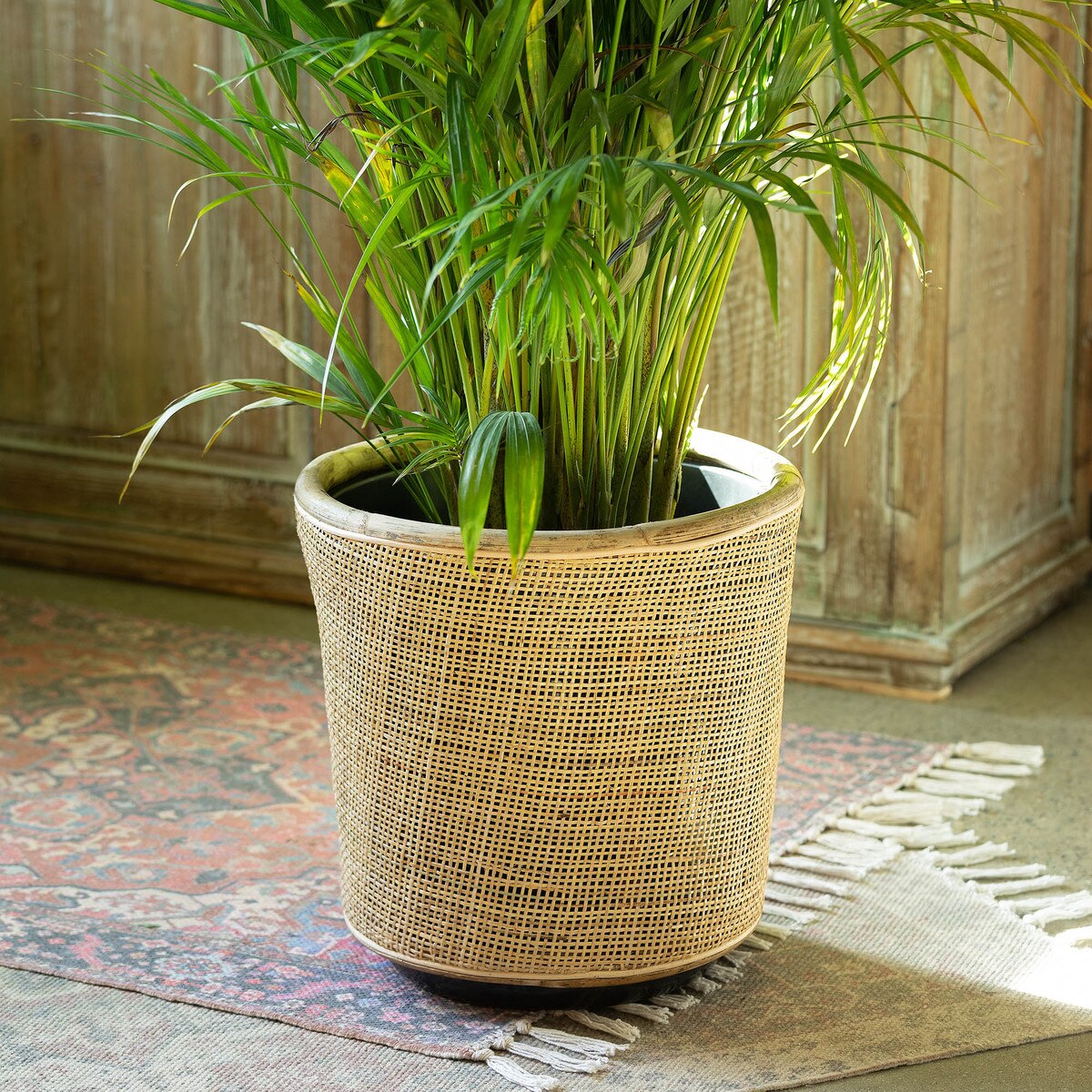 Woven Rattan Plant Basket, 14" style shot 1