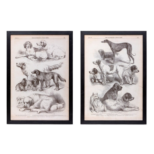 Canine Species Sepia Prints, 2 Assorted Styles style shot 1