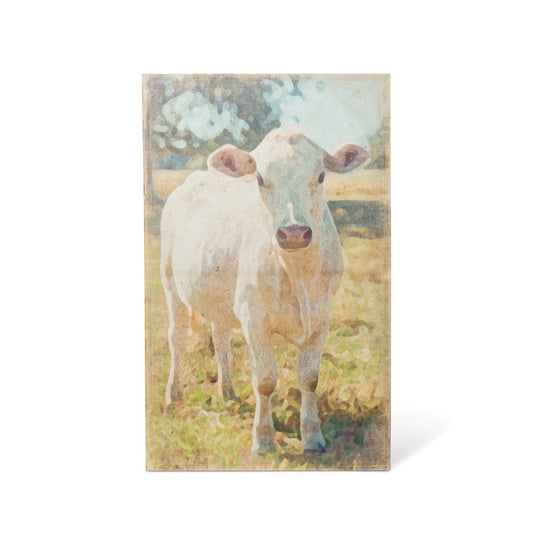 Charolais Cow Canvas Print style shot 2