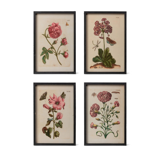 Jardin Boheme Botanical Prints, 4 Assorted Styles style shot 1