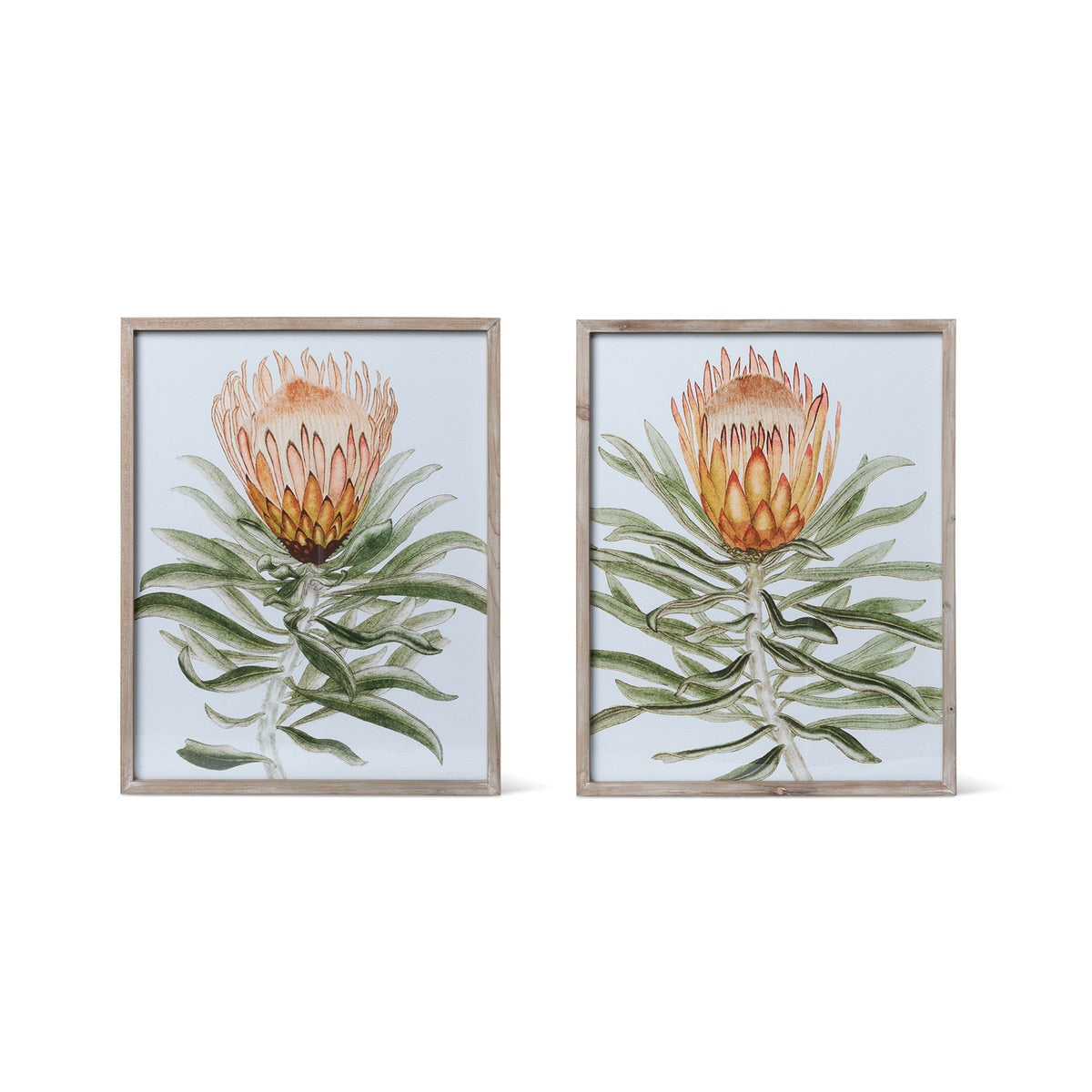 Protea Watercolor Prints in Wood Frames, 2 Assorted Styles style shot 1