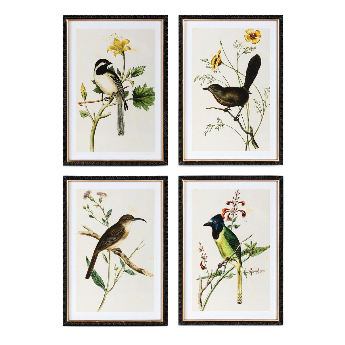 Summer Bird Framed Prints, 4 Assorted Styles style shot 1