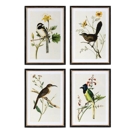 Summer Bird Framed Prints, 4 Assorted Styles style shot 1
