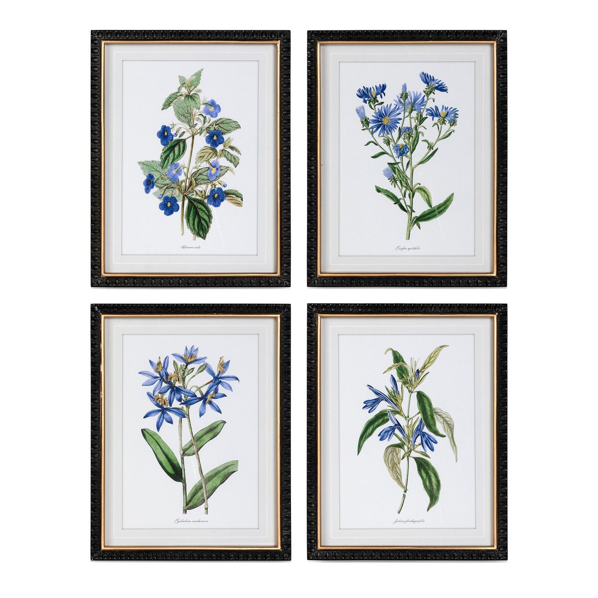 Summer Flower Framed Prints, 4 Assorted Styles style shot 1