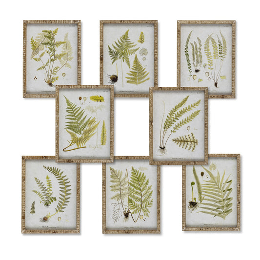 Garden Fern Framed Botanical Print, 8 Assorted Styles style shot 1
