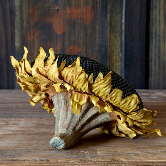 Sunflower Head style shot 1