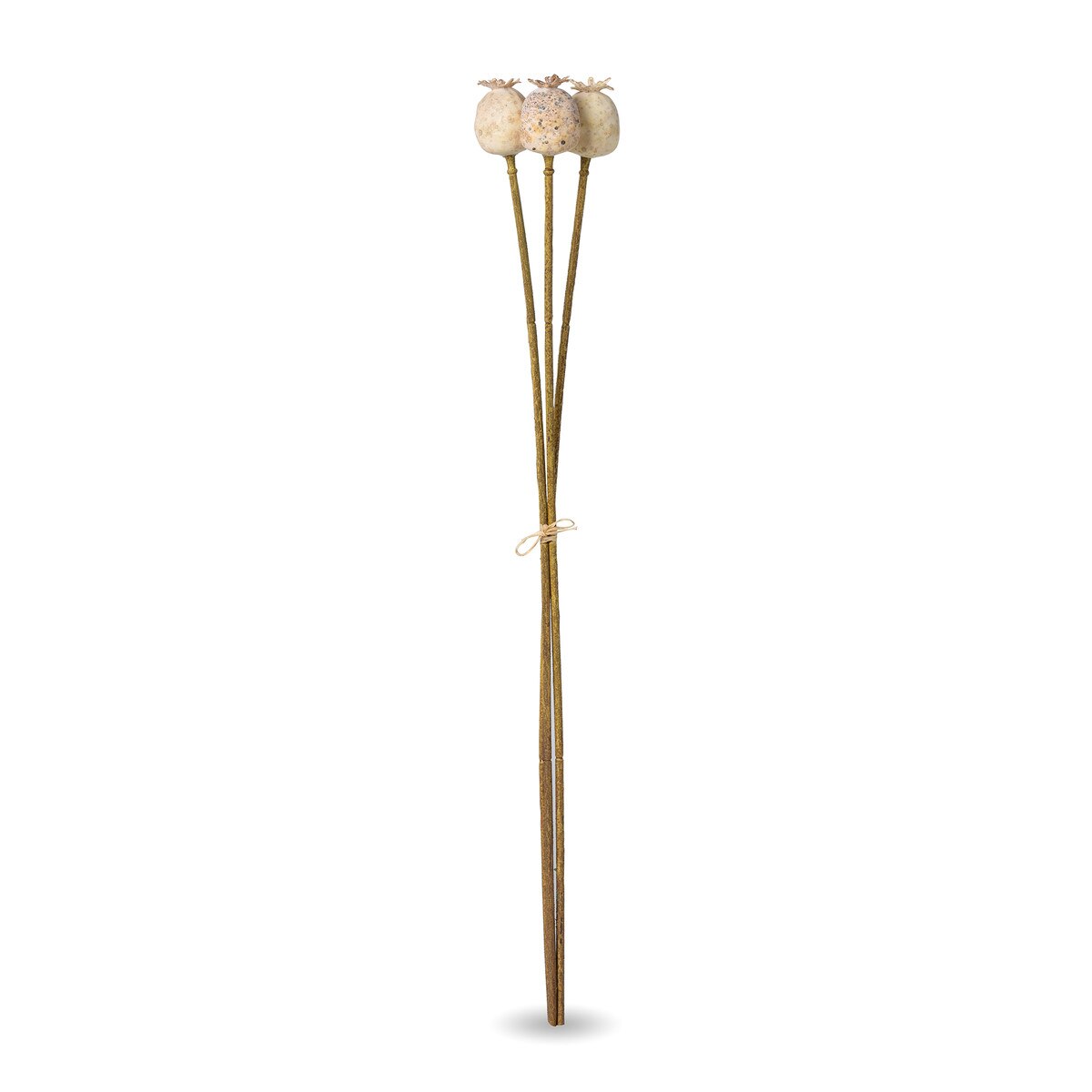 Poppy Pod Bundle style shot 2