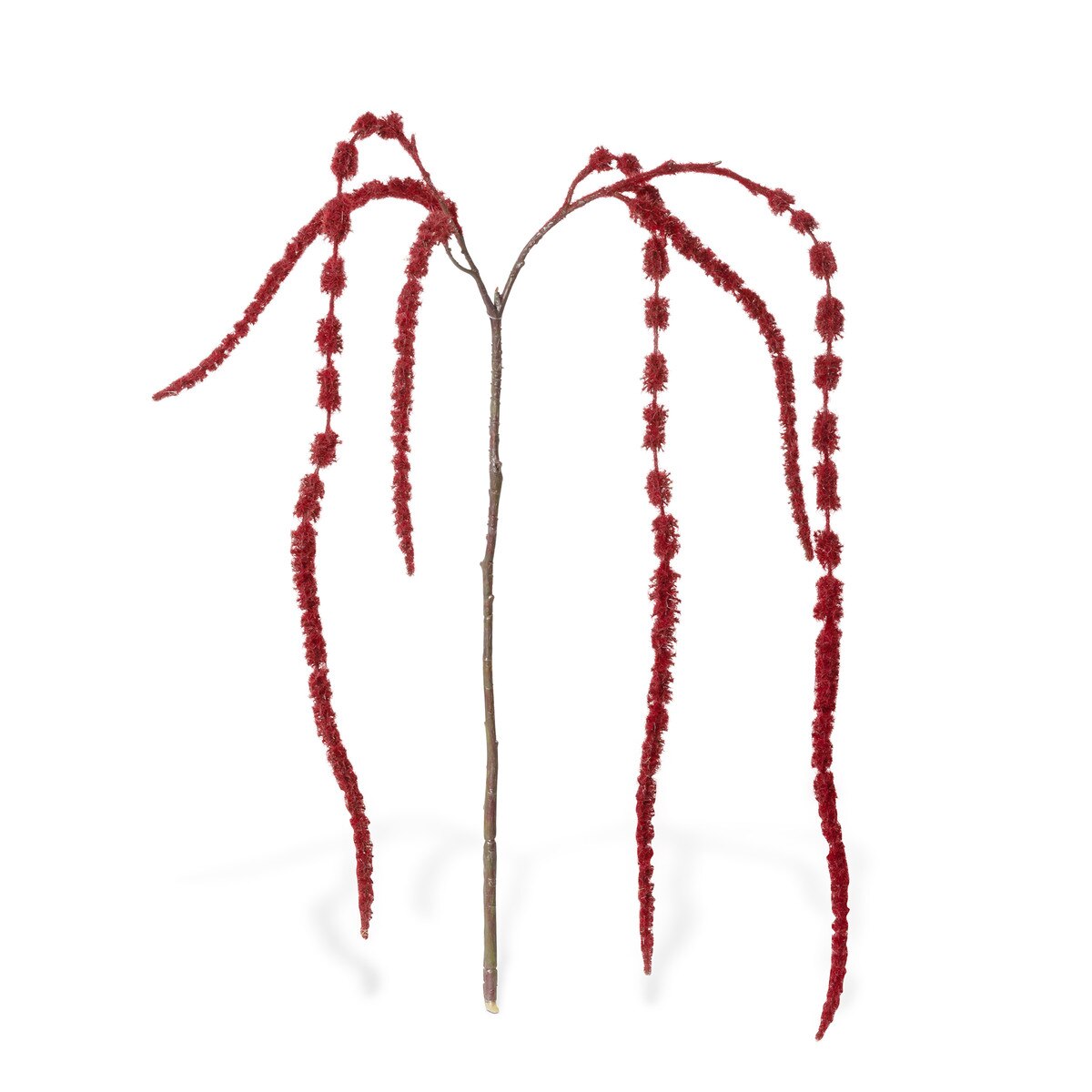 Hanging Amaranthus, Burgundy style shot 1