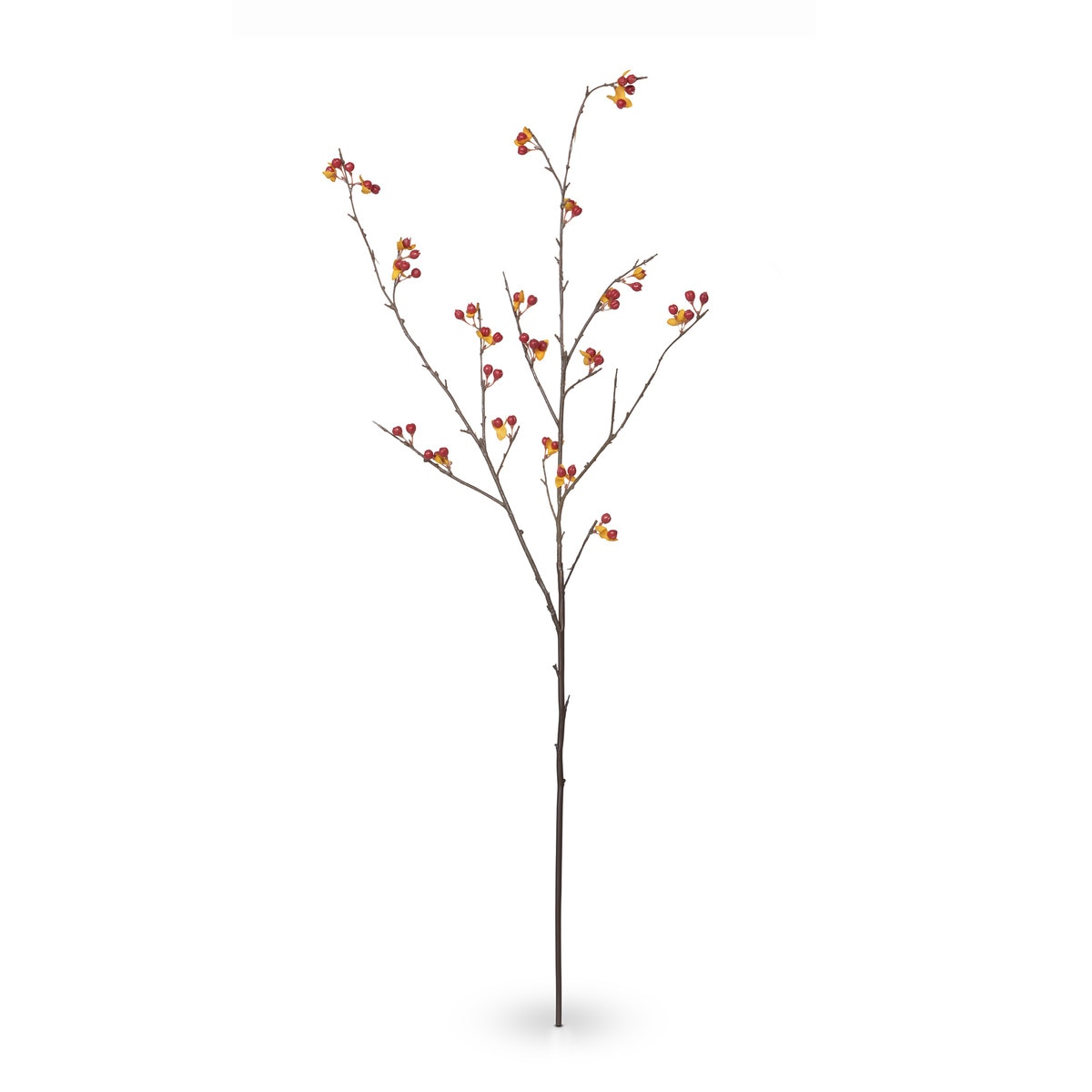 Bittersweet Stem style shot 1