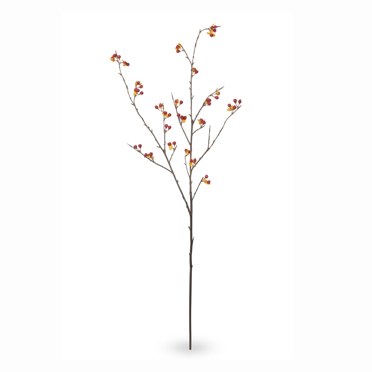 Bittersweet Stem style shot 2