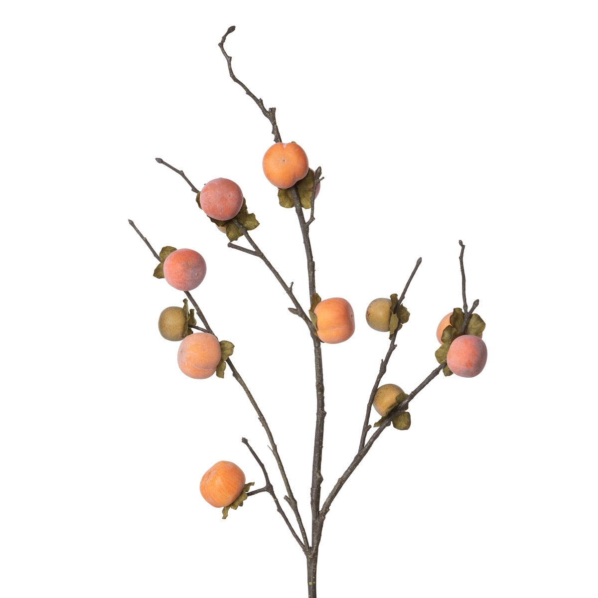 Persimmon Branch style shot 1